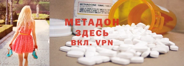 прущие грибы Аркадак