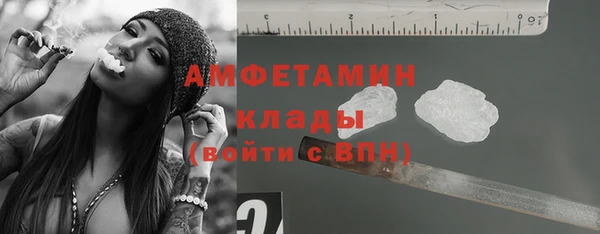 прущие грибы Аркадак