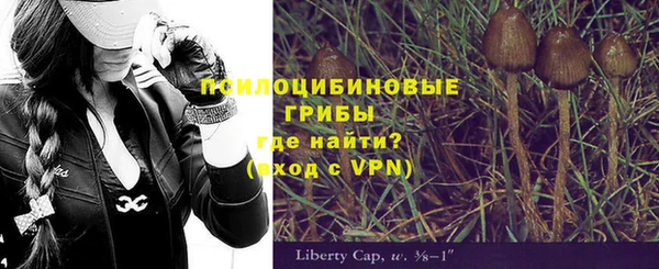 гидропоника Армянск