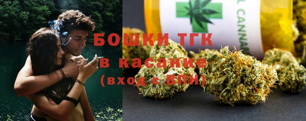 прущие грибы Аркадак