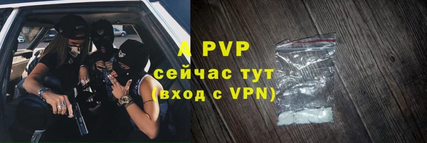 прущие грибы Аркадак