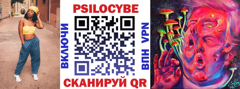 Псилоцибиновые грибы Psilocybine cubensis  Калтан 